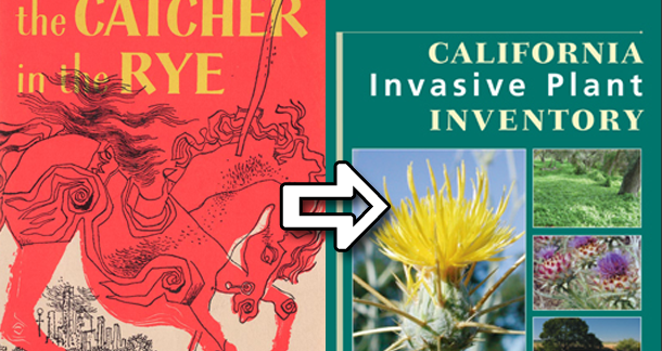 Catcher in the Rye dropped in favour of 'informational texts'