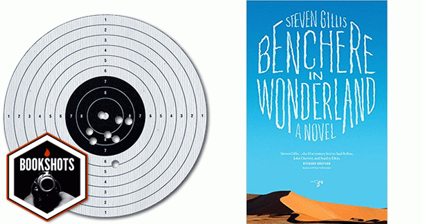 Bookshots: 'Benchere in Wonderland' by Steven Gillis