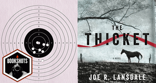 Bookshots: The Thicket by Joe R. Lansdale