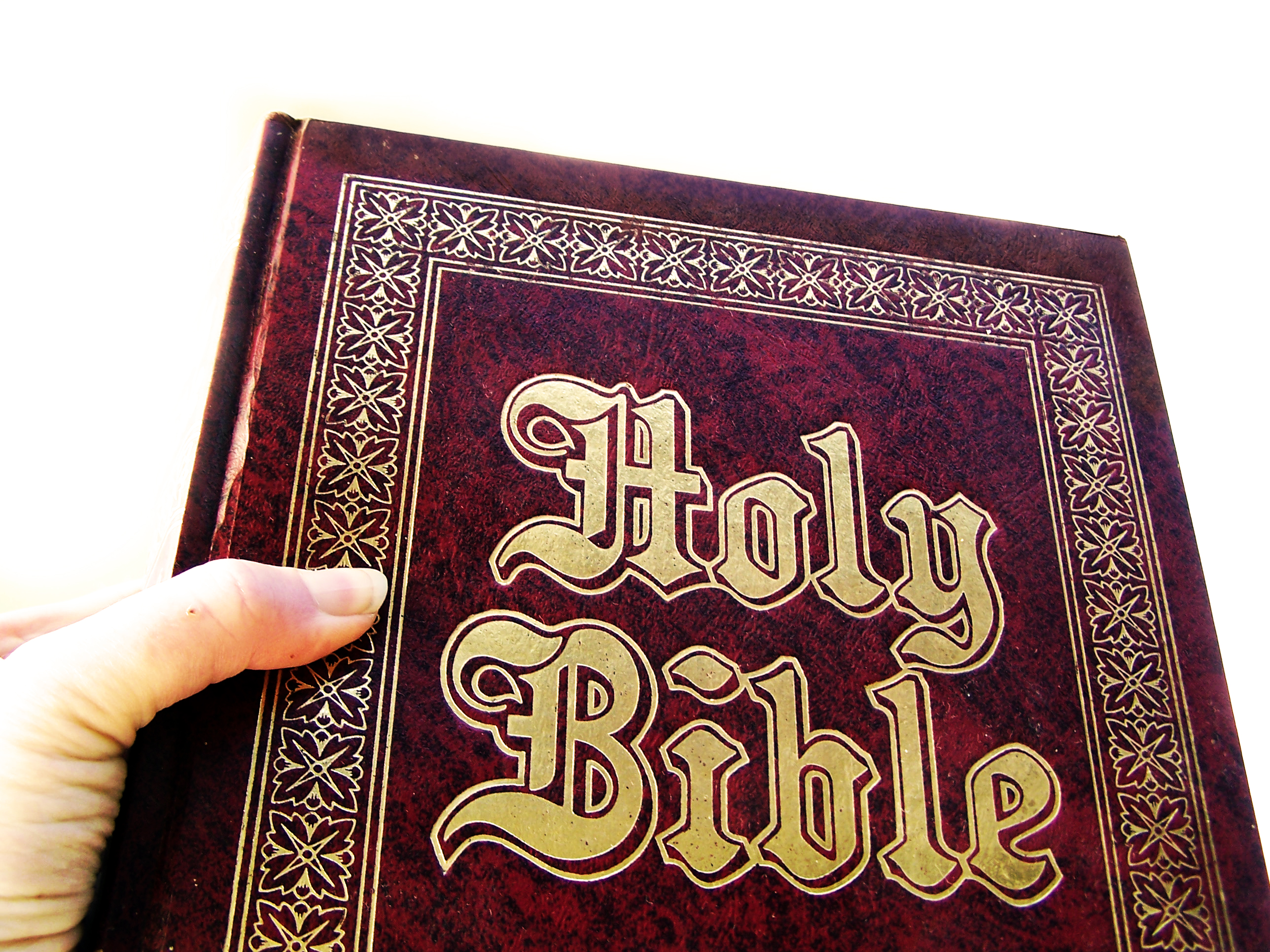 The Holy Bible Could Become Official State Book Of ...